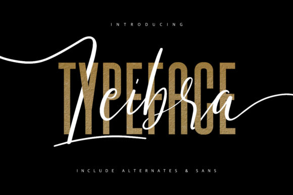 Leibra: A Script Font for Real Design Work