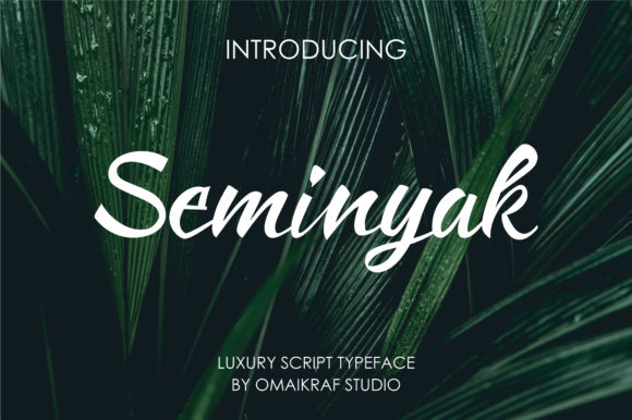 Seminyak: A Stylish Font for Digital Campaigns