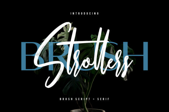 Strollers: A Font That Elevates Your Brand